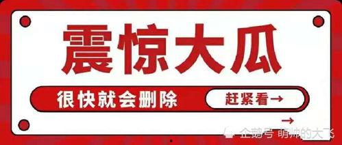 娱乐吃瓜汇总,揭秘热点事件，探寻明星幕后真相