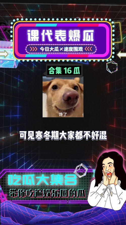 吃瓜娱乐区,揭秘热门话题背后的精彩故事