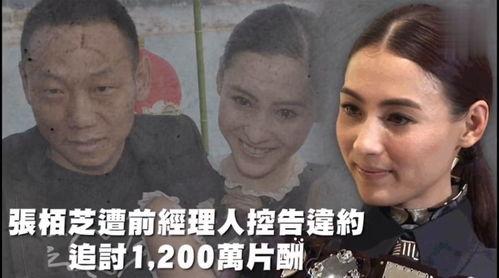 娱乐吃瓜大合集,揭秘明星幕后故事与热点事件大合集