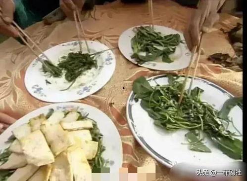 吃瓜娱乐馆,吃瓜娱乐馆带你探秘明星生活