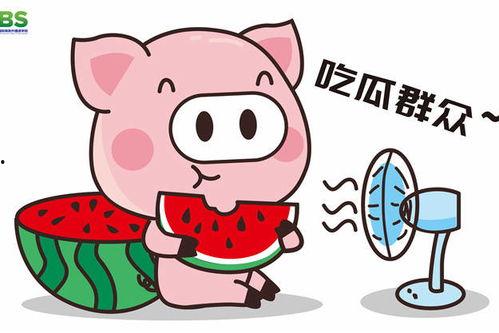 2022娱乐吃瓜动画,笑料百出，笑翻全网