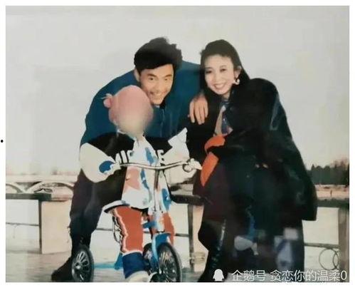 娱乐圈吃瓜合集有一本书,揭秘幕后真相的吃瓜合集