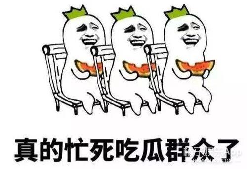 娱乐吃瓜群众,揭秘明星幕后故事，吃瓜群众狂欢时刻