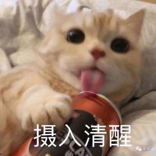 吃瓜娱乐揭秘攻略,吃瓜攻略，轻松解锁明星幕后故事