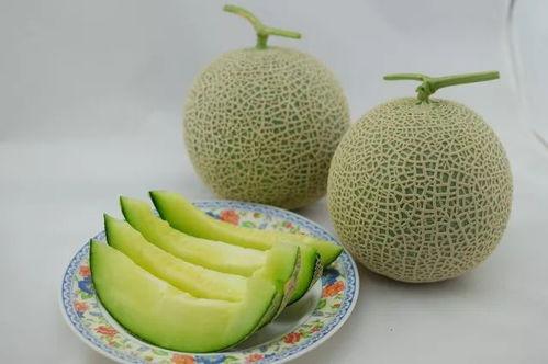 娱乐家吃瓜,揭秘明星们的“吃瓜”生活