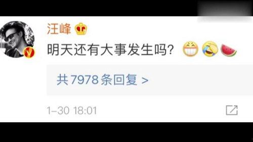 娱乐吃瓜论坛,揭秘明星幕后故事