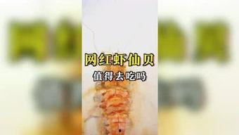 娱乐吃瓜咖啡,揭秘娱乐圈幕后故事